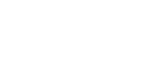 Capital Consult